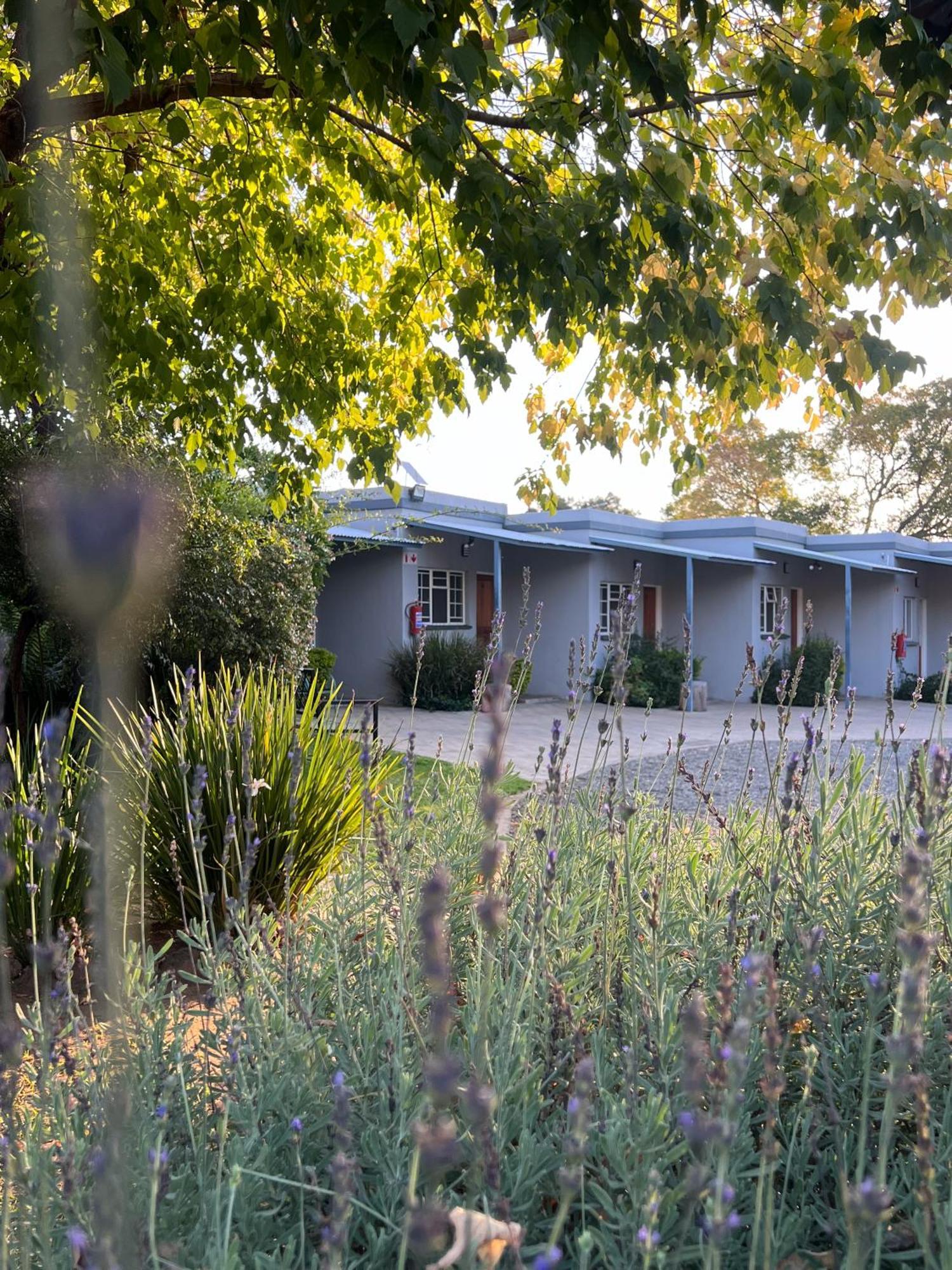 Patterson B&B Newcastle Buitenkant foto