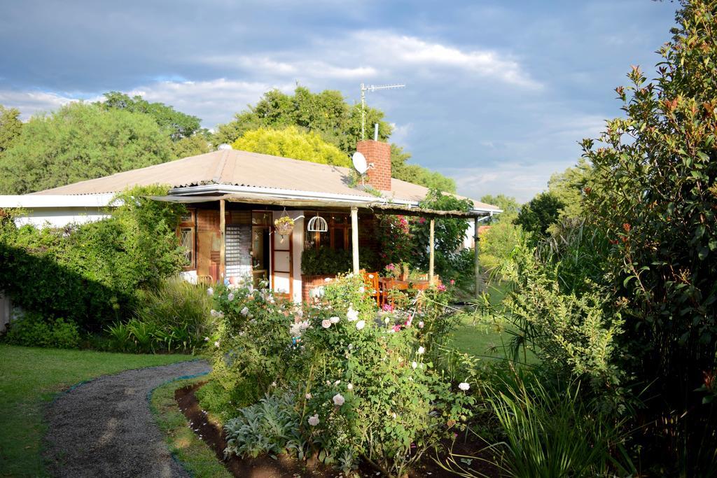 Patterson B&B Newcastle Buitenkant foto
